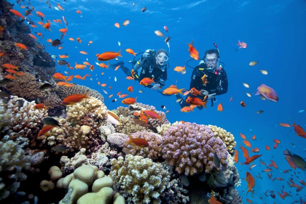 Learn to Dive and Get Certified with ScubaLov 5 Star Instructor Development Centre