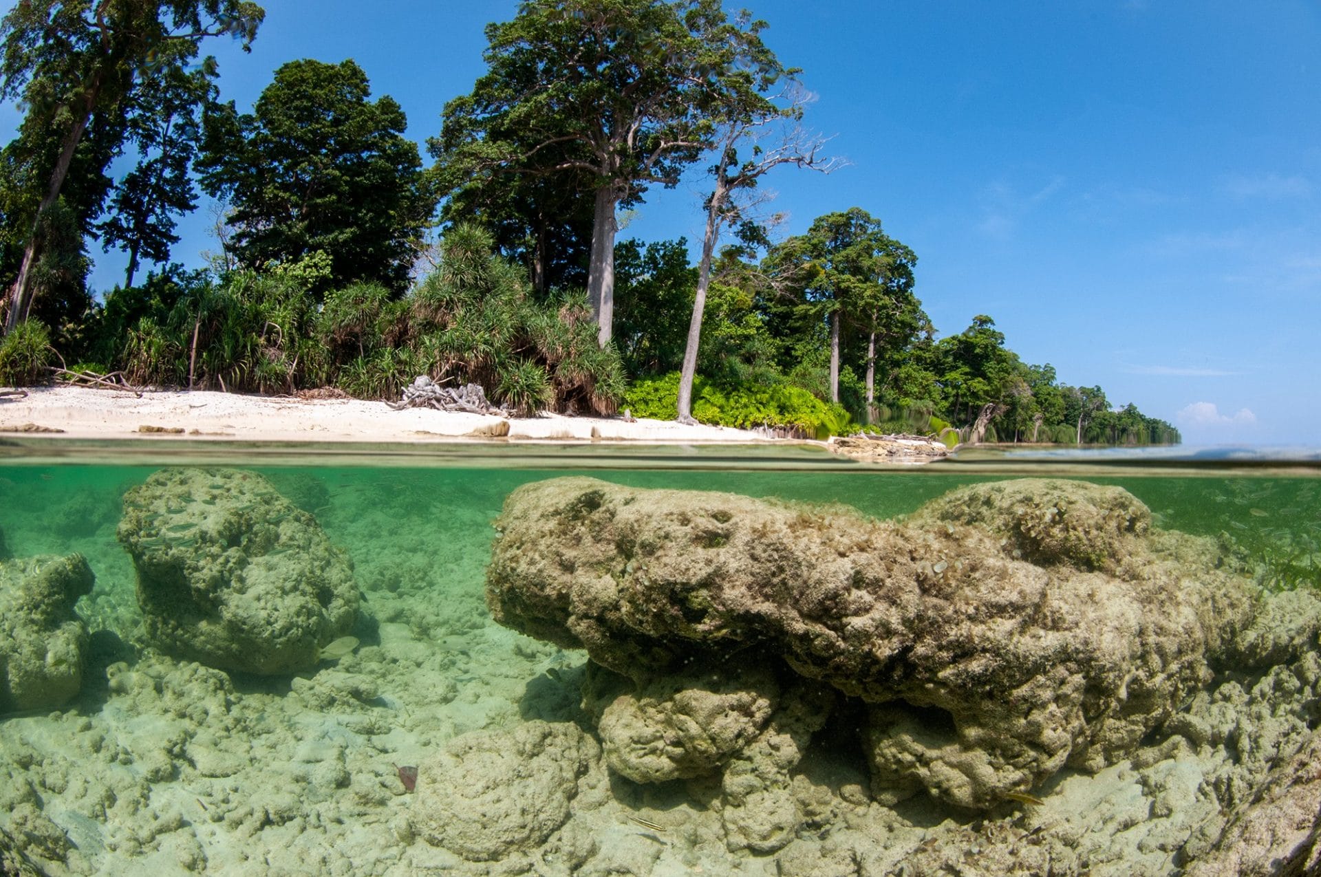 Dive at Premium Dive Sites with ScubaLov in Andaman Islands ; Havelock and Neil Island