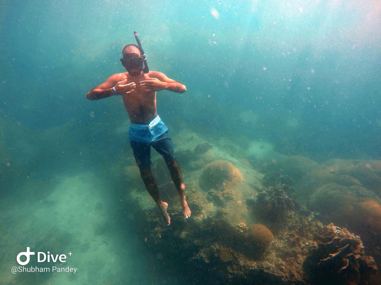In House Freediving Instructor at ScubaLov ; PADI Freediving Courses