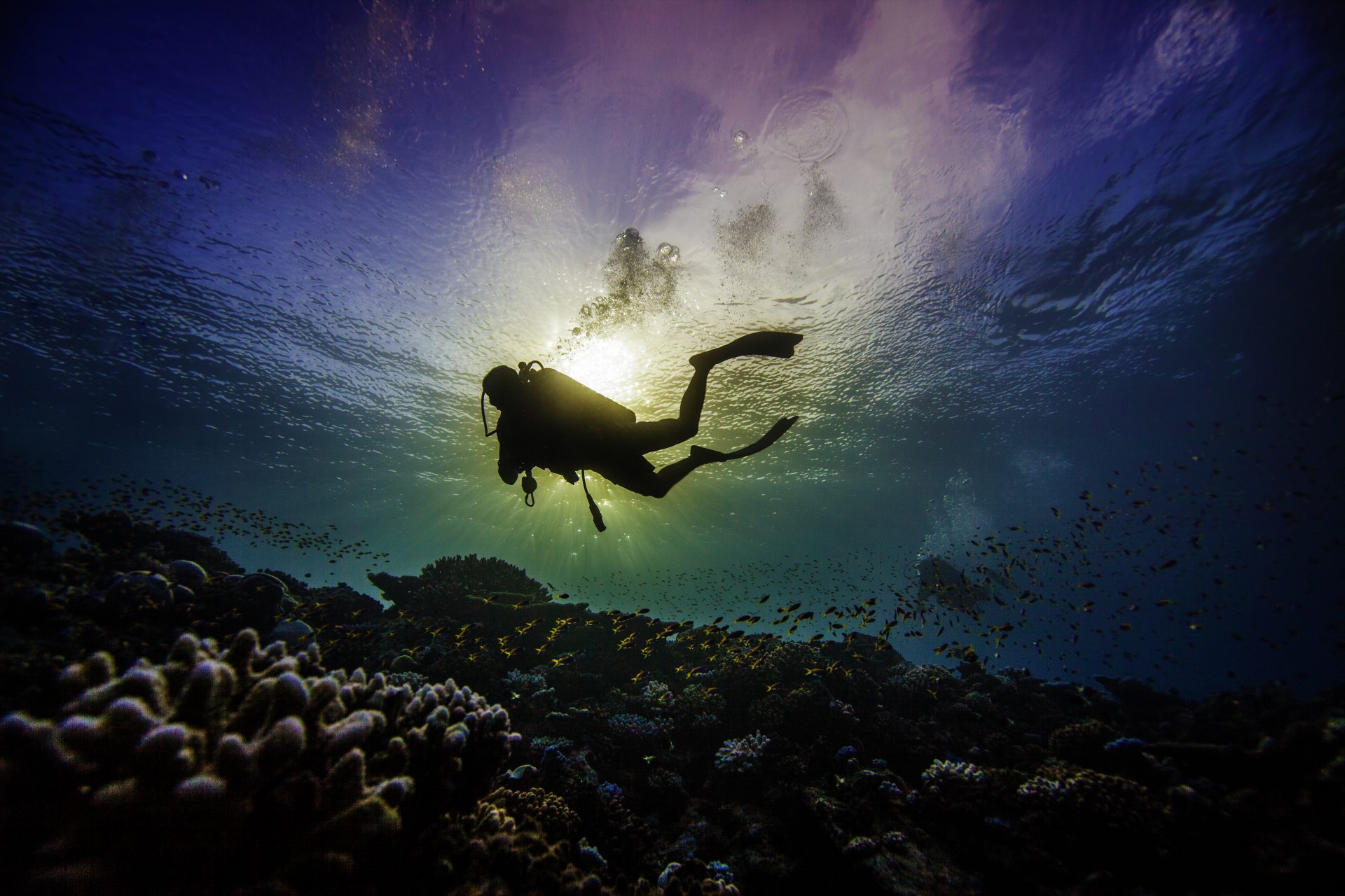 7 Habits of Least Effort while Scuba Diving ; Least Effort Habits while Scuba Diving ; Scuba Diving Habits