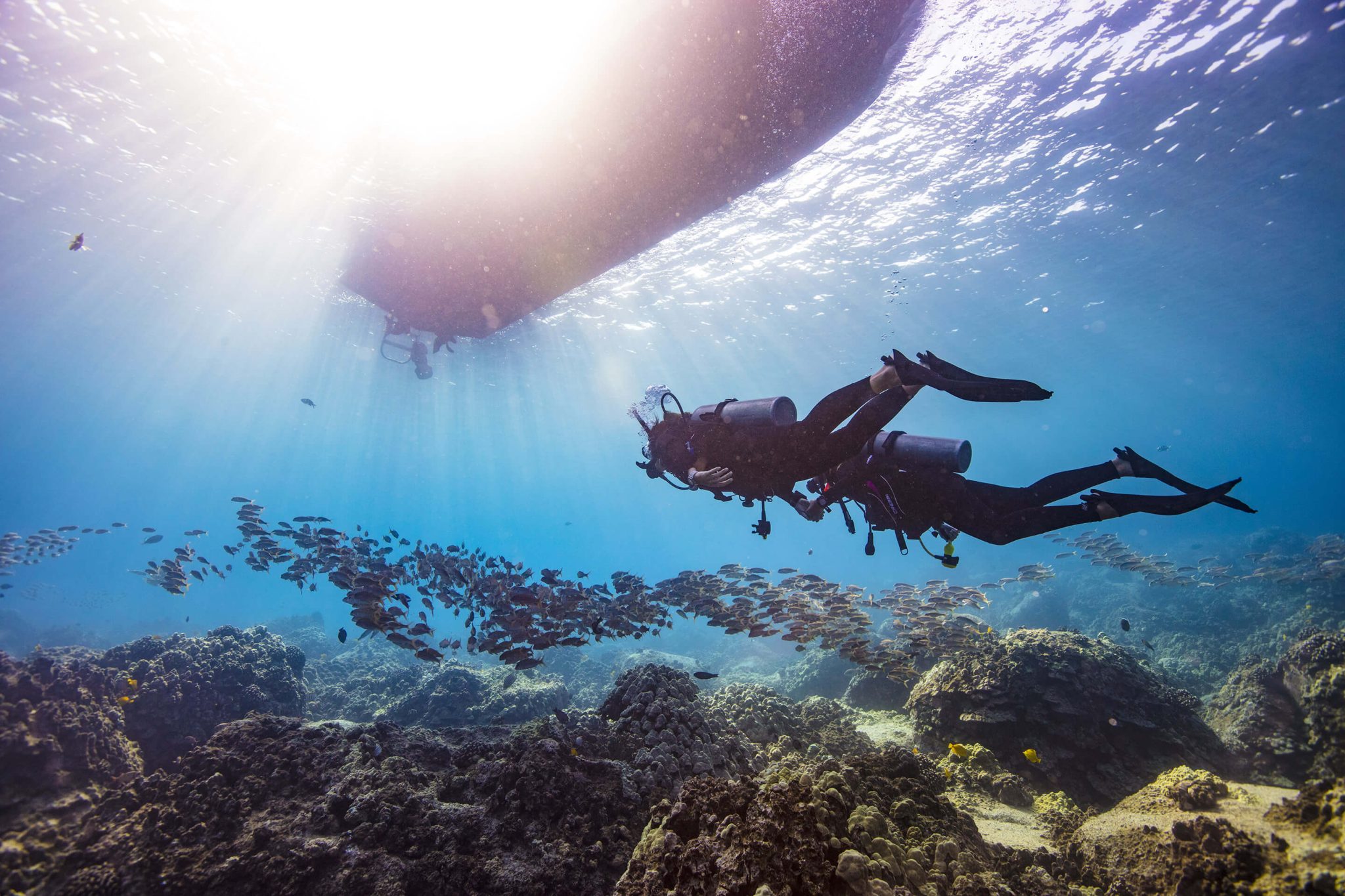 PADI DiveMaster & Instructor Course with ScubaLov. Become a Dive Professional and Live the Life