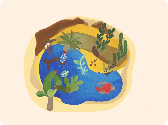 Earthsong's Marine Ecology Courses for Certified Divers