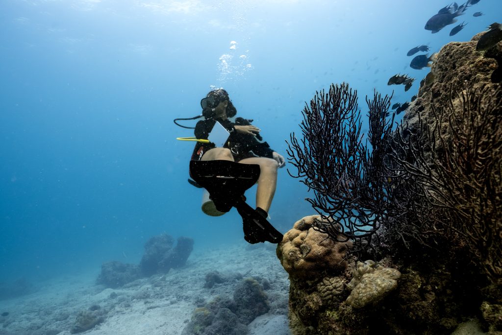 PADI Specialty Courses with ScubaLov, Unlock your Deep and Nitrox Specialist Course