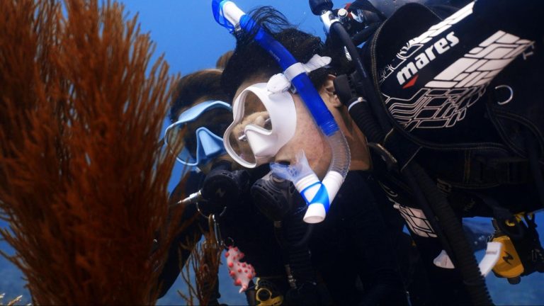 From Dive Junkie to Dive Pro: Kickstart Your Career with the PADI Divemaster Course